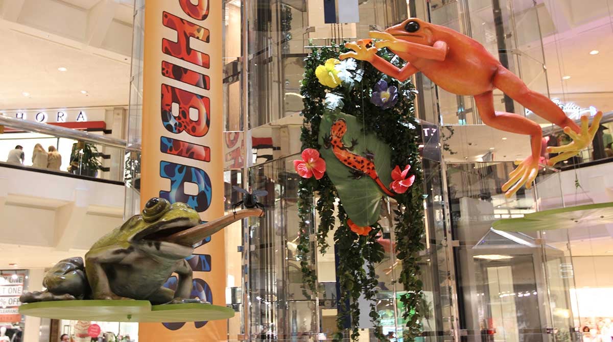 subhero-Amphibians-at-WTP-03