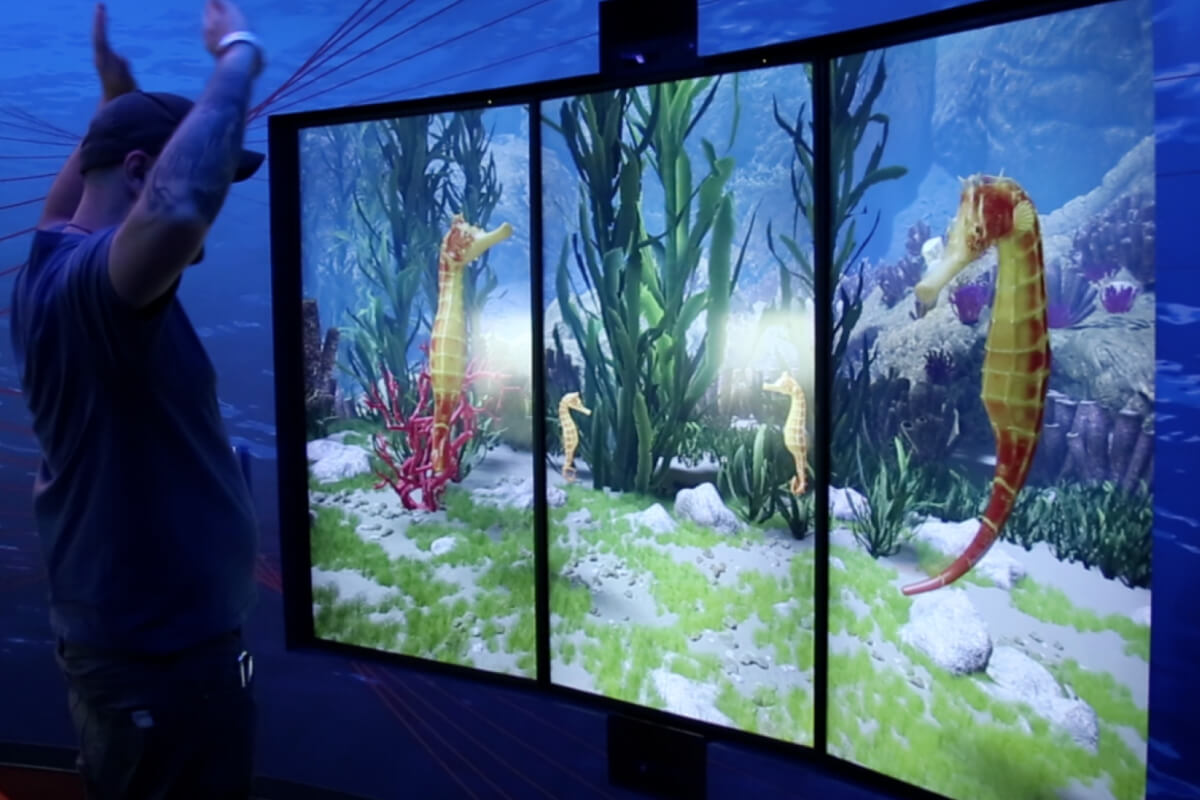 shedd-interactive-inset