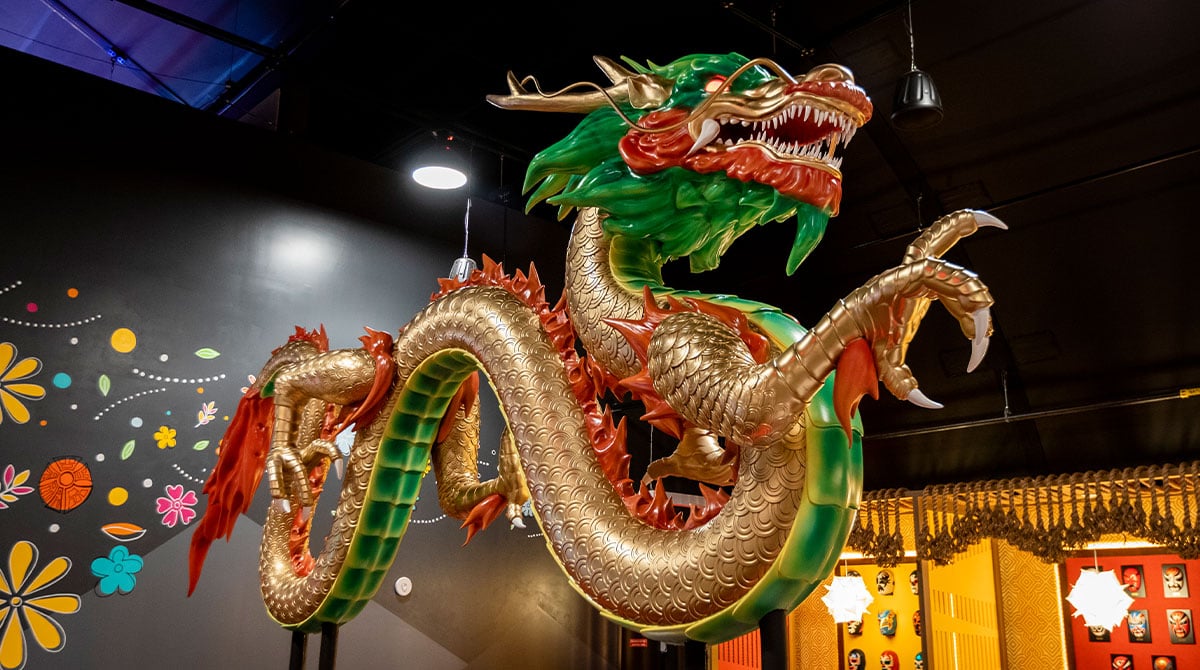 chinesedragonbody