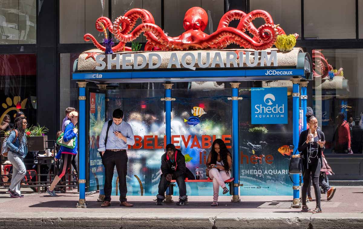 Shedd Aquarium underwater activation featuring a giant octopus on a city bus stop is one example of space branding