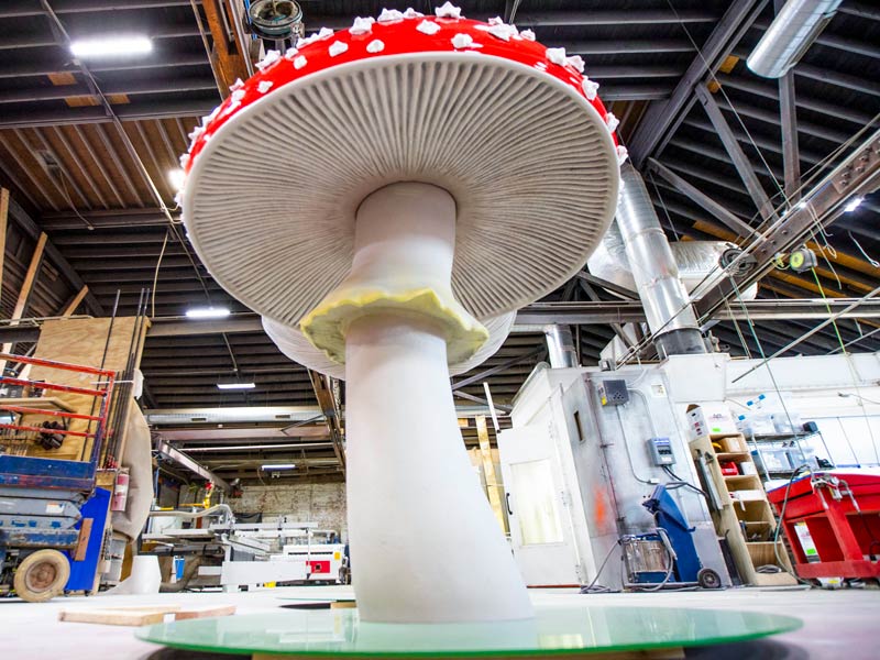 process-ashley-longshore-mushrooms-10