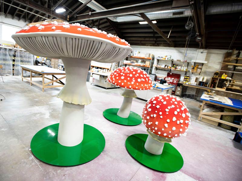 process-ashley-longshore-mushrooms-12