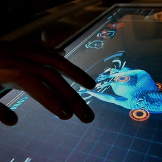 An Immersive Destination for Fans of The Hunger Games