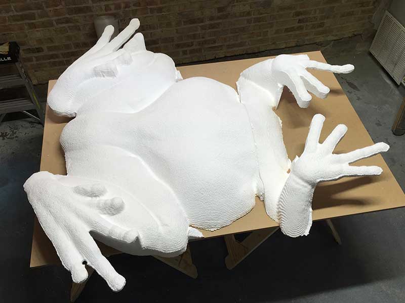 process-Amphibians-at-WTP-05