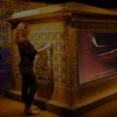 Beyond King Tut: The Immersive Experience Case Study