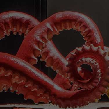 our-work-thumb-shedd-aquarium-octopus